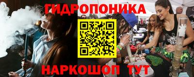 Альфа ПВП Дубна