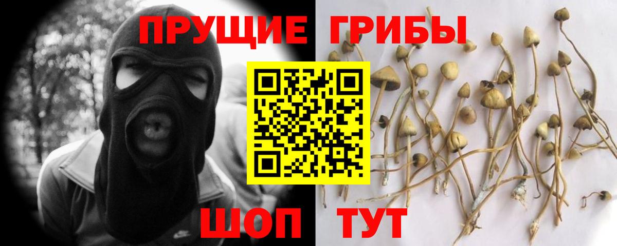 Псилоцибиновые грибы Psilocybe  Вход с VPN  наркотики  Галлюциногенные грибы Psilocybe  Минеральные Воды 